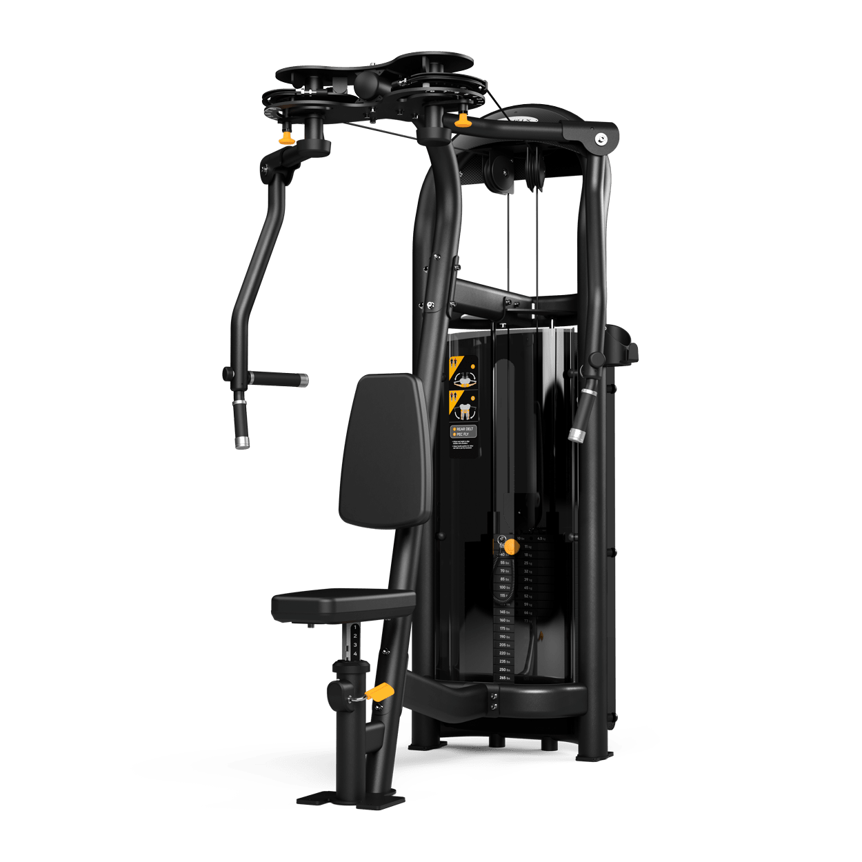 Rear delt / fly